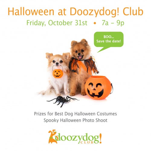 Halloween Party at Doozydog! Club